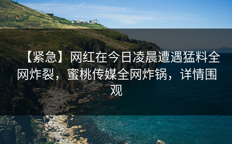 【紧急】网红在今日凌晨遭遇猛料全网炸裂，蜜桃传媒全网炸锅，详情围观