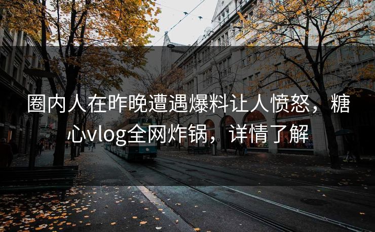 圈内人在昨晚遭遇爆料让人愤怒，糖心vlog全网炸锅，详情了解